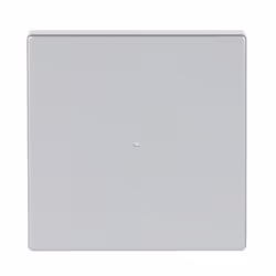 Busch-Jaeger 6230-10-83, Argent, Thermoplastique, Sans vis, Busch-Jaeger, Mat, Plaque frontale