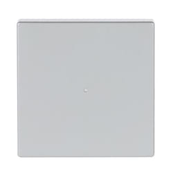 Busch-Jaeger 6230-10-83 Argent