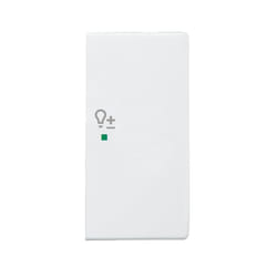 Busch-Jaeger 6220-0-0255 accessoire de commutation électrique