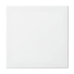 Busch-Jaeger 2546-914 Blanc