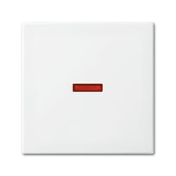 Busch-Jaeger 1731-0-2016 Plaque de commutation et obturateur Blanc