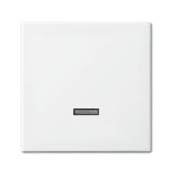 Busch-Jaeger 6543-914-102 support pour capteur et couvre-pied Blanc