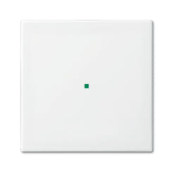 Busch-Jaeger 6230-10-914 Blanc
