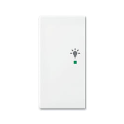 Busch-Jaeger 6231-21-914 Plaque de commutation et obturateur Blanc