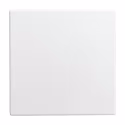 Busch-Jaeger 1576 C-914, Blanc, Thermoplastique, Sans vis, Busch-Jaeger, Brillant, IP20