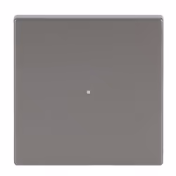 Busch-Jaeger 6230-10-866, Acier inoxydable, Thermoplastique, Sans vis, Busch-Jaeger, Mat, Plaque frontale