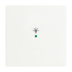 Busch-Jaeger 6231-10-884 Blanc