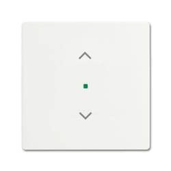 Busch-Jaeger 2CKA006220A0483 support pour capteur et couvre-pied Blanc