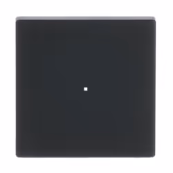 Busch-Jaeger 6230-10-885, Noir, Thermoplastique, Sans vis, Busch-Jaeger, Mat, Plaque frontale