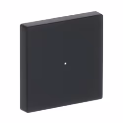 Busch-Jaeger 6230-10-885 Noir