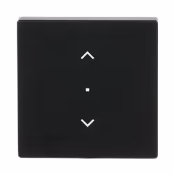 Busch-Jaeger 6232-10-885, Noir, Thermoplastique, Sans vis, Busch-Jaeger, Mat, Plaque frontale