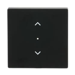 Busch-Jaeger 6232-10-885 Noir