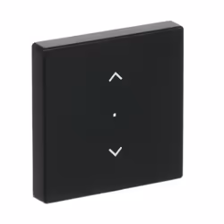 Busch-Jaeger 6232-10-885 Noir
