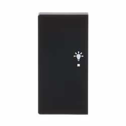 Busch-Jaeger 6231-21-885, Noir, Thermoplastique, Sans vis, Busch-Jaeger, Brillant, Plaque frontale