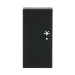 Busch-Jaeger 6231-21-885 Noir