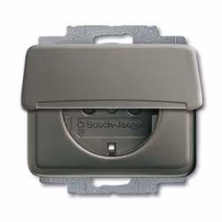 Busch-Jaeger 4011395218402, Type F, 2P+E, Gris, 250 V, 16 A