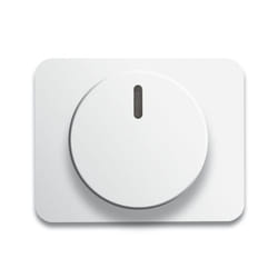 Busch-Jaeger 6540-24G Blanc