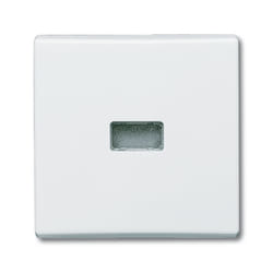 Busch-Jaeger 1731-0-1734 Plaque de commutation et obturateur Blanc