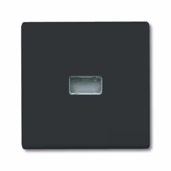 Busch-Jaeger 2107-35, Noir, Busch-Jaeger, 70 mm, 70 mm, 1,3 cm, 1 pièce(s)