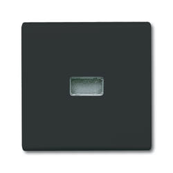 Busch-Jaeger 2107-35 Noir