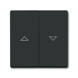 Busch-Jaeger 1731-0-1726 Plaque de commutation et obturateur Anthracite