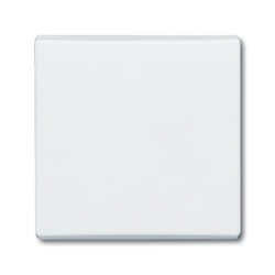 Busch-Jaeger 2106-32 Blanc