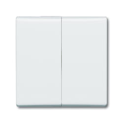 Busch-Jaeger 2105-32 Blanc