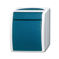 Busch-Jaeger 2601/2 W-53 commutateur électrique 1P Vert, Gris