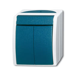 Busch-Jaeger 2601/5 W-53 commutateur électrique 2P Vert, Gris