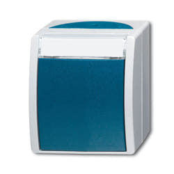 Busch-Jaeger 2601/6 WN-53 commutateur électrique 1P Vert, Gris