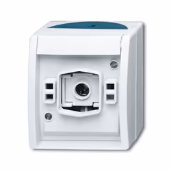Busch-Jaeger 2661 W-53, Vert, Blanc, IP44