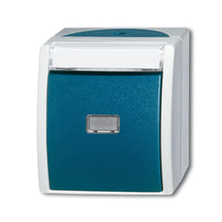 Busch-Jaeger 1484-0-0373 interrupteur d'éclairage Bleu, Gris