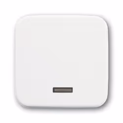 Busch-Jaeger 6543-214-102, Blanc, Busch-Jaeger, 54 mm, 54 mm, 1 pièce(s)