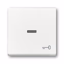 Busch-Jaeger 1789 TR-84, Blanc, Busch-Jaeger, 63 mm, 63 mm, 1 pièce(s)