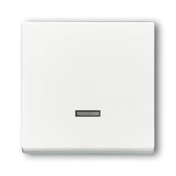 Busch-Jaeger 6543-84-101 Blanc