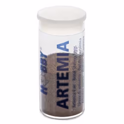 HOBBY Aquaristik Oeufs d‘artémia