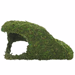 HOBBY Terraristik Jungle Cave 4