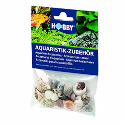 HOBBY Aquaristik Sea Shells Set S Couleurs assorties 20 pièce(s)