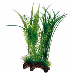 HOBBY Aquaristik Flora Root 1, L, L, 300 mm