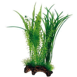HOBBY Aquaristik Flora Root 1, L