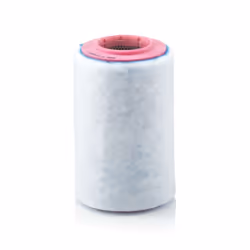 Filtre à air MANN-FILTER C 17 237/1