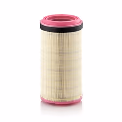 Filtre à air MANN-FILTER C 25 900