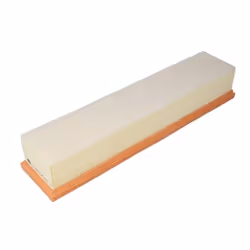 Filtre à air MANN-FILTER C 3875/1