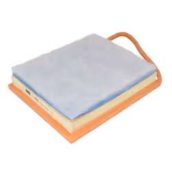 Filtre à air MANN-FILTER C 3585