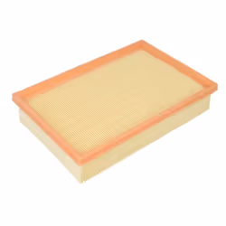 Filtre à air MANN-FILTER C 25 101/1