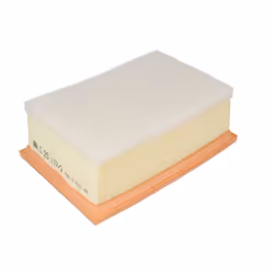 Filtre à air MANN-FILTER C 25 117/2