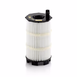 Filtre à huile MANN-FILTER HU 7005 x