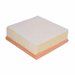 Filtre à air MANN-FILTER C 21 136/1