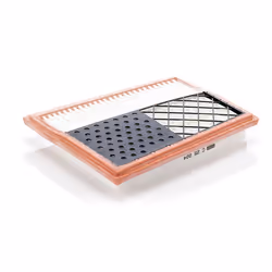 Filtre à air MANN-FILTER C 25 004