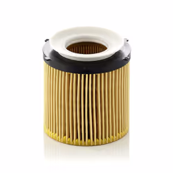 Filtre à huile MANN-FILTER HU 8002 y